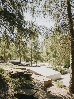 Der Skatepark mit Treppen und Hindernissen liegt mitten in einem Nadelwald.