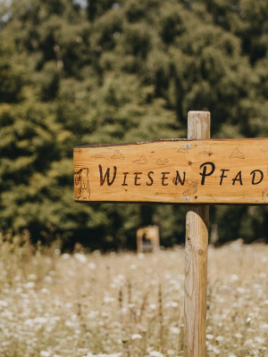 Holzschild mit der Aufschrift Wiesenpfad.